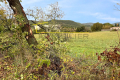 terrain LE TEIL 4050013_1
