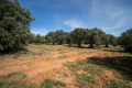 terrain ST-SIFFRET 4057015_2