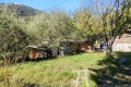 Maison SOSPEL 2 pi&egrave;ces 4069064_1
