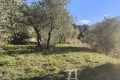 Maison SOSPEL 2 pi&egrave;ces 4069064_2