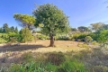 Maison CHATEAUNEUF-GRASSE 4069912_2