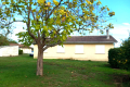 Maison COUTRAS 4 pi&egrave;ces 4073174_3