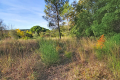 terrain ST-ANTONIN-DU-VAR 4091677_0
