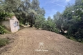 terrain CONTES 4093697_2