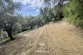 terrain CONTES 4093697_2