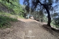 terrain CONTES 4093697_3