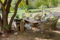 House LA GARDE-FREINET 4 rooms 4094887_1