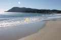 Appartement LA SEYNE-SUR-MER 1 pi&egrave;ces 4103995_1