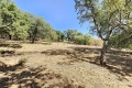 Building plot GRIMAUD 4108203_2