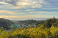 Maison CAGNES-SUR-MER 4110209_2