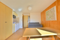 Apartment CHAMPAGNY-EN-VANOISE 2 rooms 4115480_3