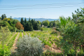 Maison AIX-EN-PROVENCE 4116924_2