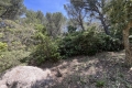 terrain SIX-FOURS-LES-PLAGES 4119389_2