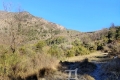 terrain SOSPEL 4121462_2