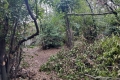terrain SETE 4131239_2