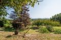 Maison PONT-ST-ESPRIT 4134857_1