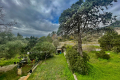 Maison TOURRETTES-SUR-LOUP 4135241_1
