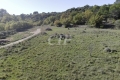 terrain MONTMEYAN 4142259_1
