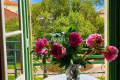 Maison BANYULS SUR MER 4143094_0