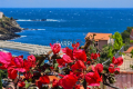 Maison CERBERE 4143098_2