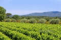Maison LE CANNET-DES-MAURES 4145679_0