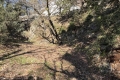 terrain ASPREMONT 4155225_2