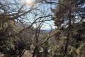 terrain ASPREMONT 4155225_3