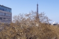 Appartement PARIS 7EME 5 pi&egrave;ces 4172648_1