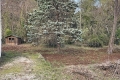 Maison ROQUEFORT-LES-PINS 4175873_1