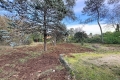 Maison ROQUEFORT-LES-PINS 4175873_3