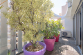 Appartement BIARRITZ 4176268_3