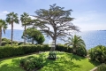 Appartement CANNES 4179758_2