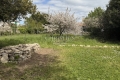 terrain STE MARIE DE RE 4182432_0