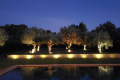 Maison ST-REMY-DE-PROVENCE 12 pi&egrave;ces 4182991_2