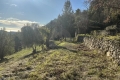 terrain GORBIO 4188475_3