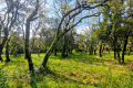 terrain ST-SIFFRET 4190879_1