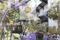 Maison LA BAULE ESCOUBLAC Malakoff 4193097_0