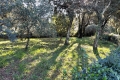 Maison UZES 4194798_1