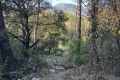 terrain ROQUEFORT-LES-PINS 4204794_1