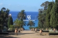 terrain RAYOL-CANADEL-SUR-MER 4204937_1
