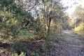 terrain ROQUEFORT-LES-PINS 4204794_2