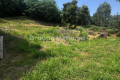 Maison PEGOMAS 4209115_1