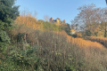 terrain DINAN 4209278_1