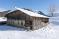 Maison MORZINE 4209582_1