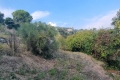 terrain NICE 4209916_1