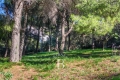 Maison CASSIS 4213243_2