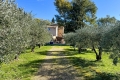 Maison FAYENCE 4217880_0