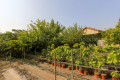 terrain CAROMB 4217366_2
