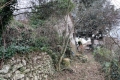 terrain LEVENS 4219535_3
