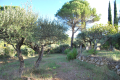terrain SALERNES 4220591_0
